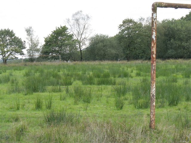 The biodiversity bottleneck
