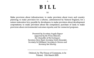 The 2025 Planning and Infrastructure Bill